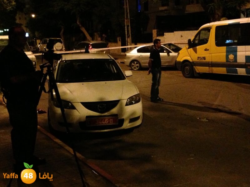 fireludmidnight530 (6).jpg